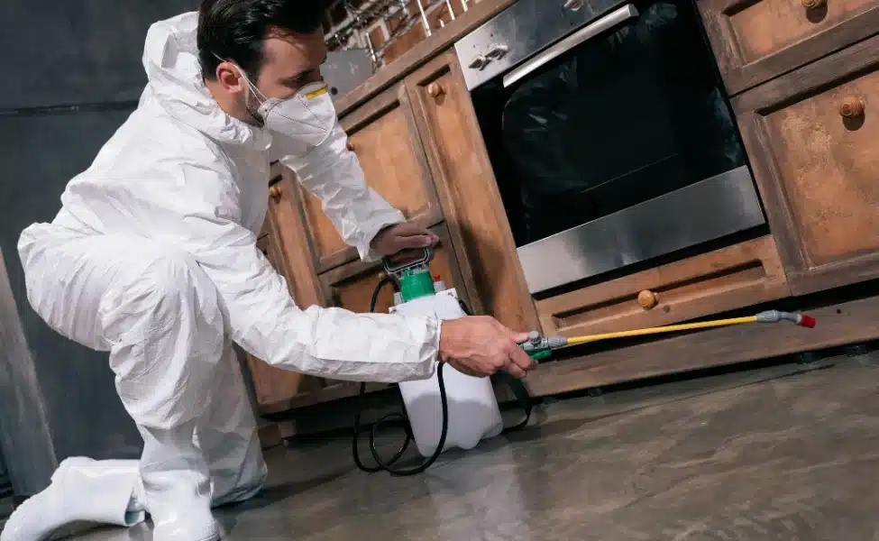The Essential Guide to Pest Control in Las Vegas: Proven Strategies for a Pest-Free Home