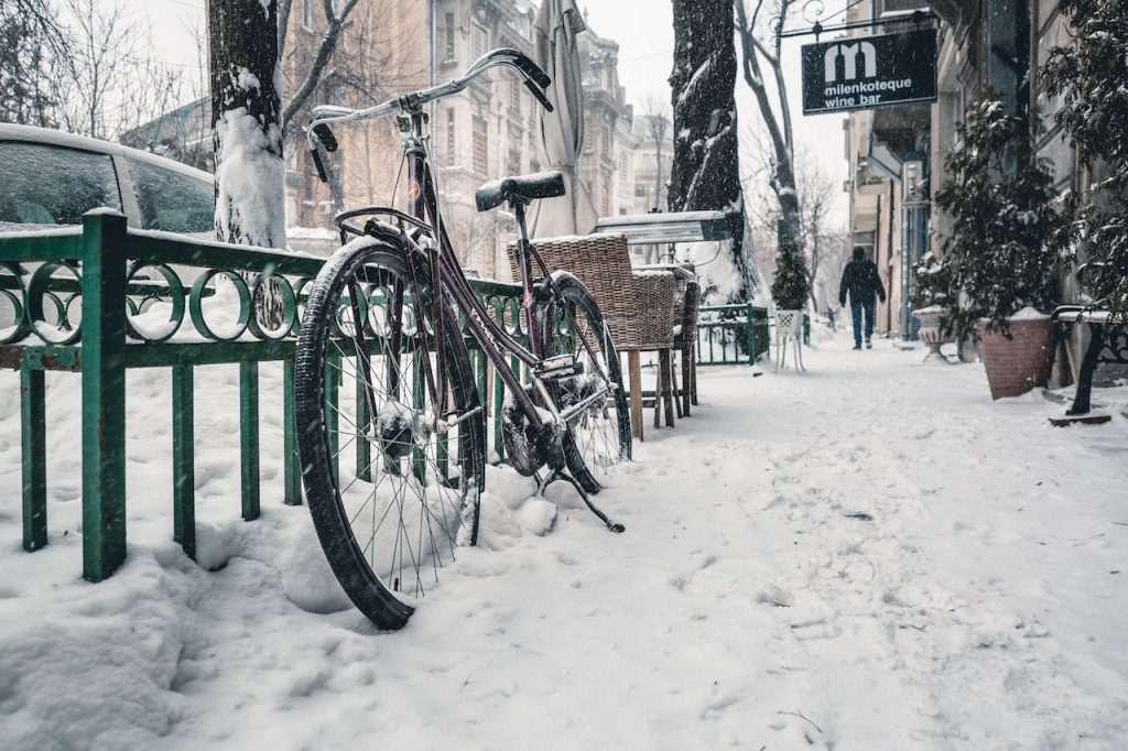 winter landscape