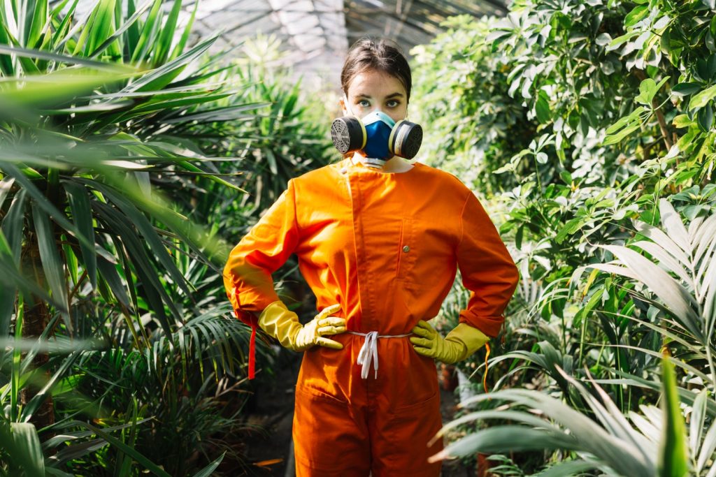 Chemical Pest Control Solutions