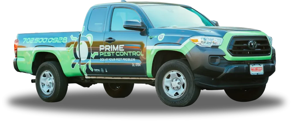 Areas We Serve - Prime Pest Control