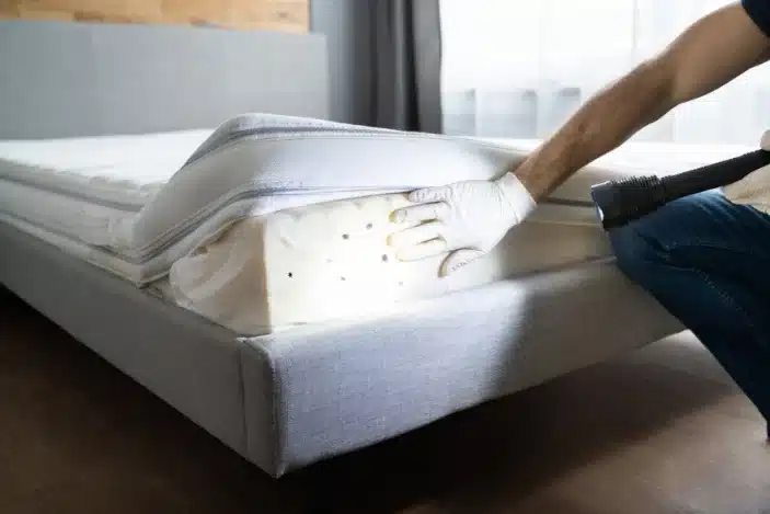 Bed Bugs Eliminator in Las Vegas, NV
