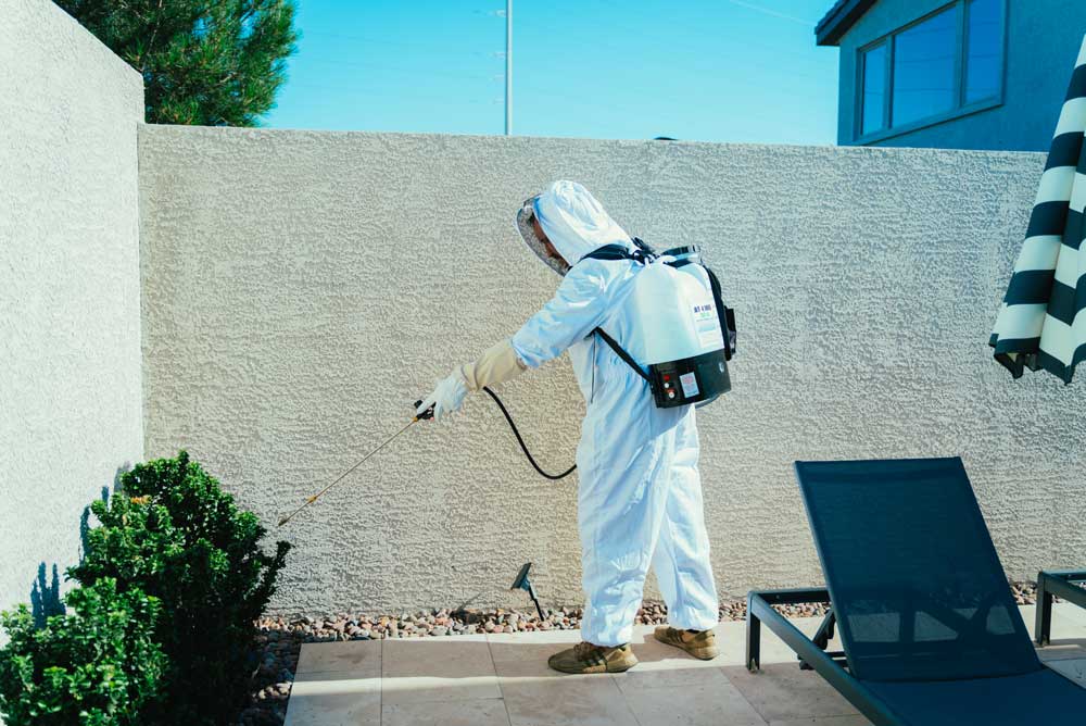 Home Sprayed for Effective Bee Control in Las Vegas