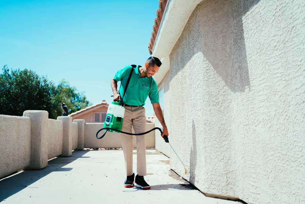 Spray for Effective Ant Control at Home in Las Vegas