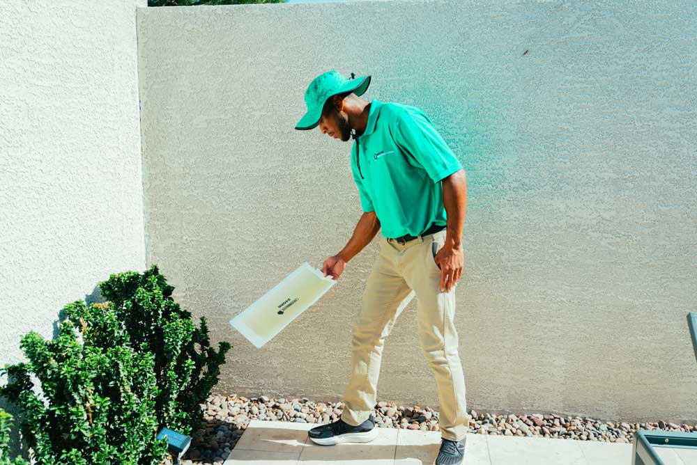 Cricket Pest Control Company in Las Vegas, NV