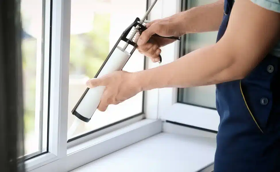 Box Elder Bug Pest Control Near Me