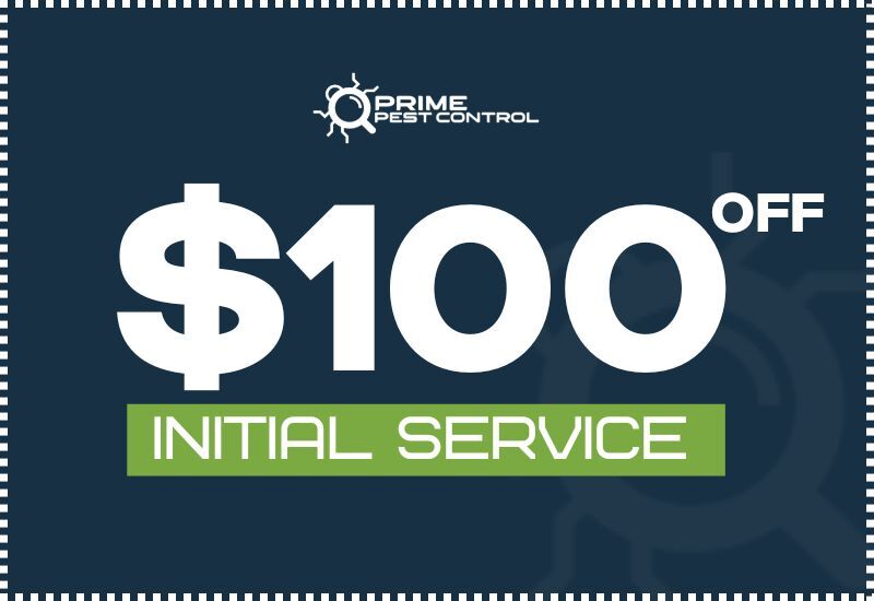 $100 Off Initial Service