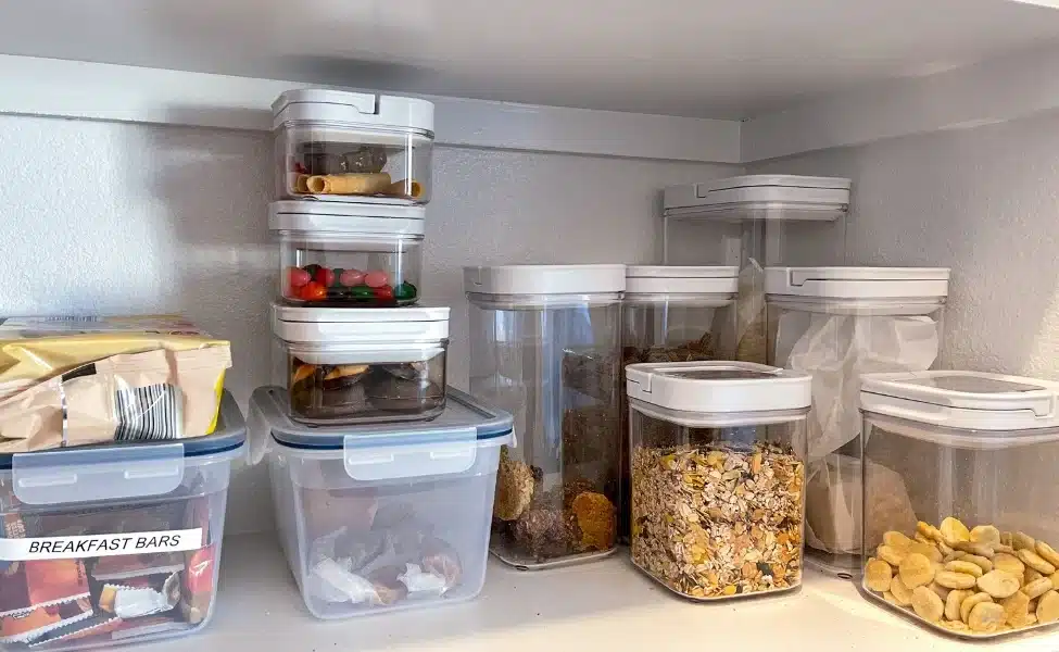 Pantry Pests Control Service in Las Vegas, NV