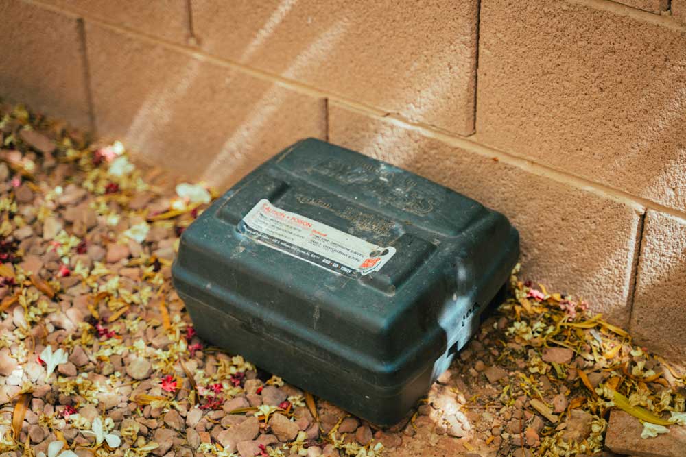 Pest Control Service For Rats in Las Vegas, NV