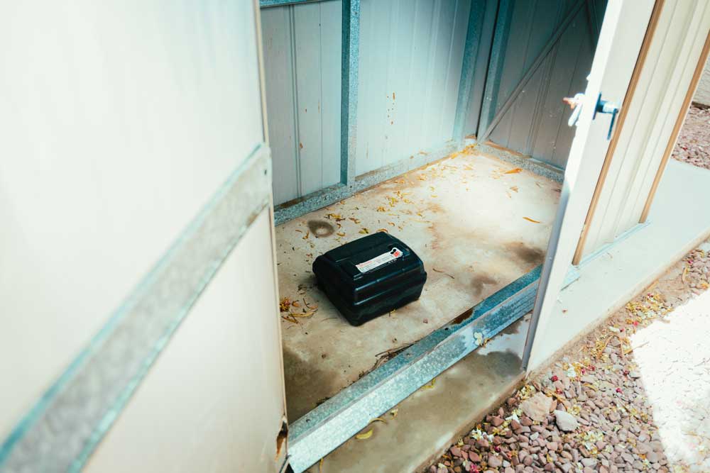 Effective Rat Home Control in Las Vegas