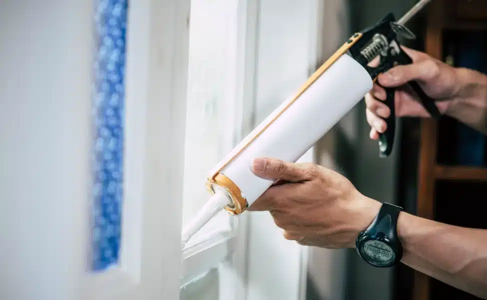 Spider Pest Control Services in Las Vegas, NV