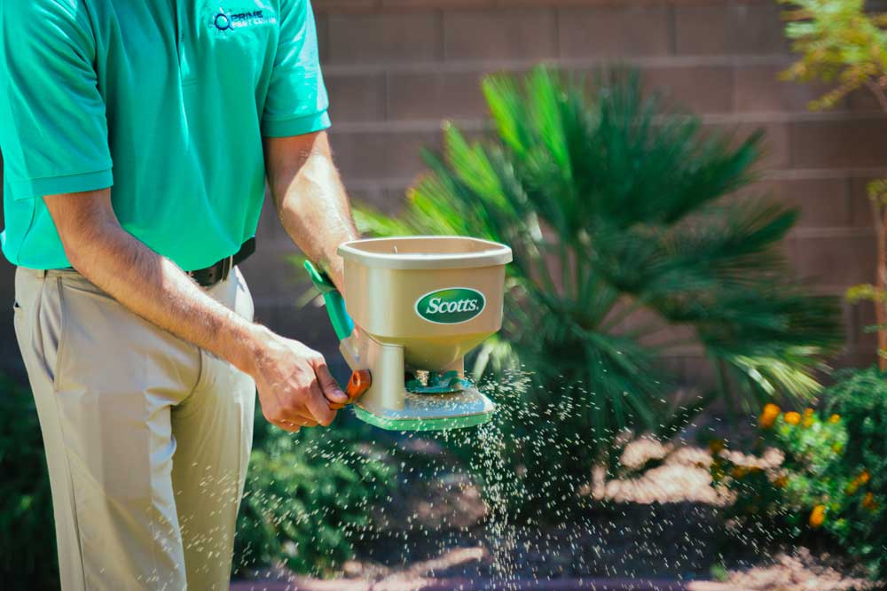 Best Pest Control Centipedes in Las Vegas, NV
