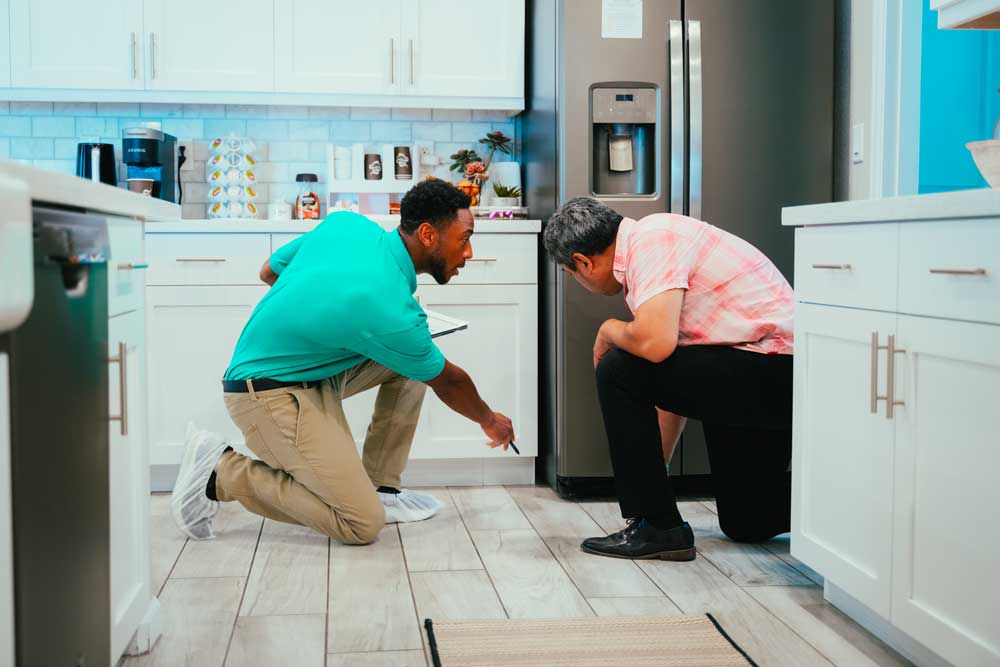 Best Pest Control Cockroaches in Las Vegas, NV