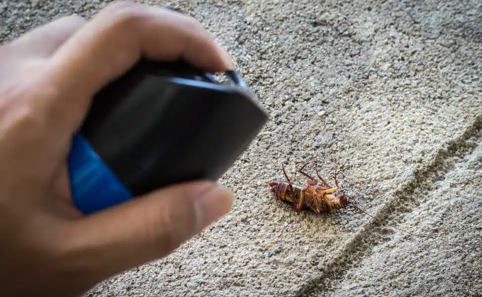 Cockroaches Exterminator in Las Vegas, NV