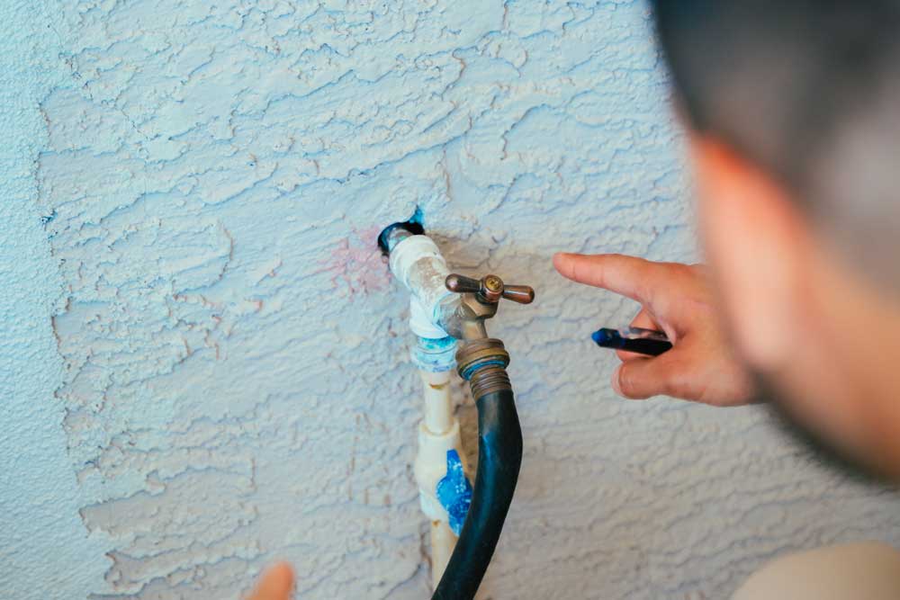 Trusted Pest Control Centipedes in Las Vegas, NV