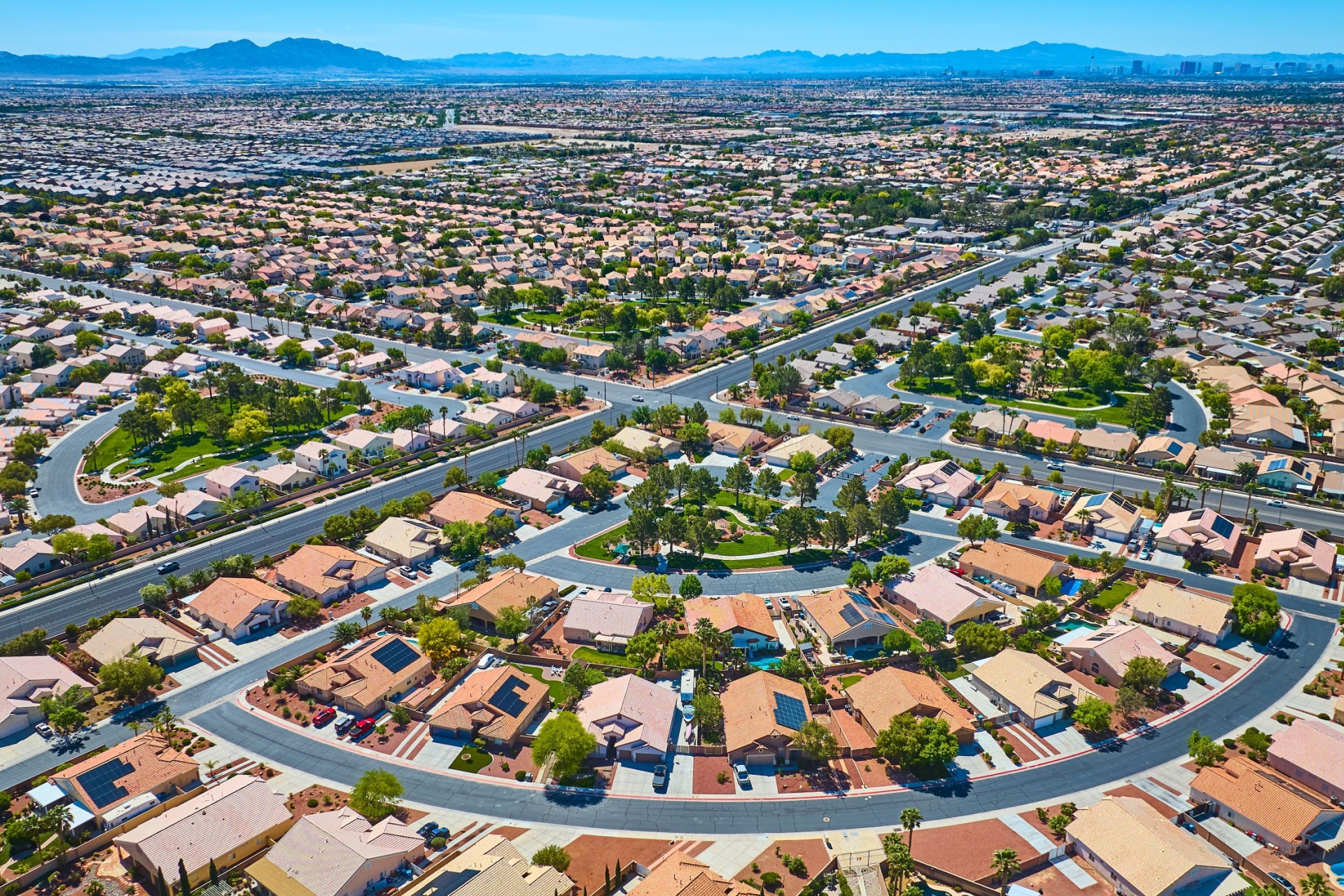 Do You Need Monthly Pest Control in Las Vegas?