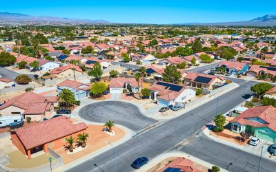 Is Ongoing Pest Control Worth It in Las Vegas Homes?